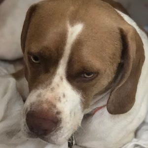 Meet your Posher, Edgardo